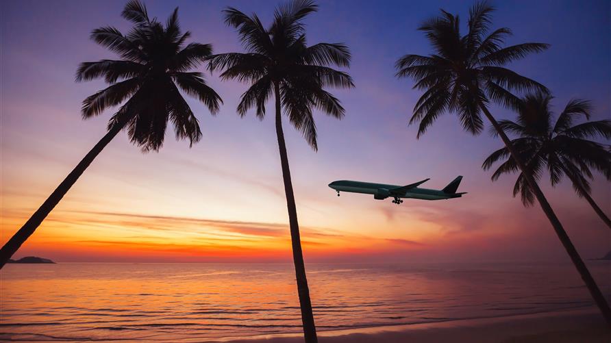 Silhouette of palm trees and airplane taking against Hawaiian sunset.