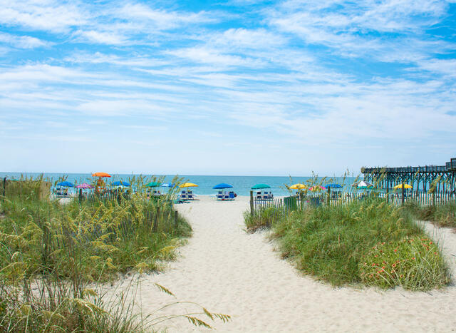 Sandy pathway leading to an beach umbrella dotted shoreline. 