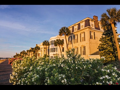 Flowers blooming along The Battery in Charleston, South Carolina. 