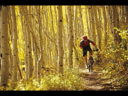Man on an electric mountain bike on a fall foliage colored bike trail in Park City, Utah. 