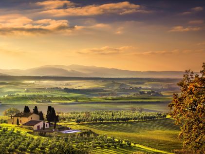 Farmland and fields on a foggy morning in Tuscany, Italy