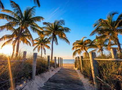 Palm trees and a wooden pathway to a beach on Key West, Florida