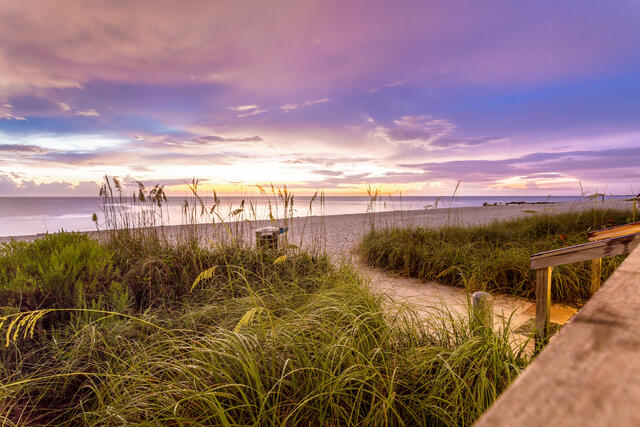 Florida beach with purple painted skies ovehead, grass lined walkway. 