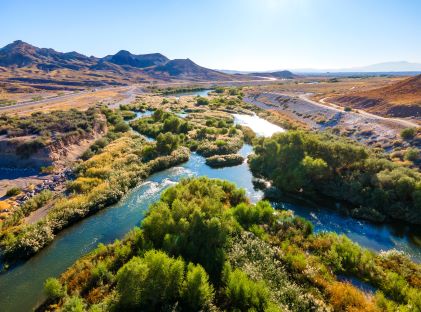 Clark County Wetlands Park Nature Preserve, just east of Las Vegas, Nevada