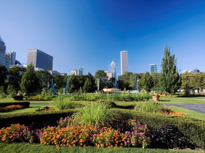 Grass, flowers and hedges at Grant Park in Chicago