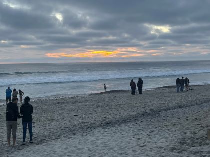 The view of the beach in Carlsbad, California, at sunset